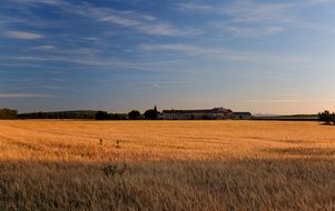 beautiful field in the south of france provence