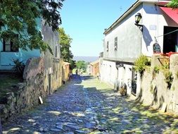 quiet road to the sea through the village