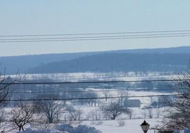 peaceful winter still life