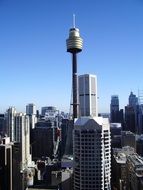 the tallest tower in Sydney