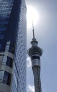 network station auckland