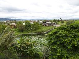 houses lake landscape