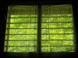 Picture of green room window