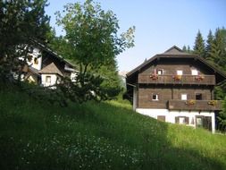 summer idyll austria home