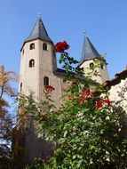 bush roses in front of the monastery