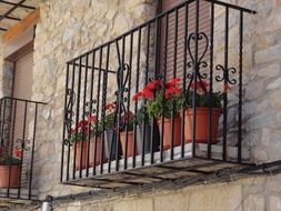 extraordinarily beautiful balcon red flowers