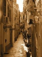 narrow Greek streets