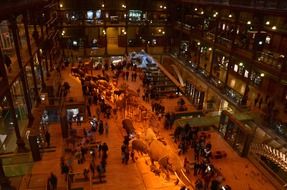 A view from a height on the people inside the Natural History Museum in Paris, France