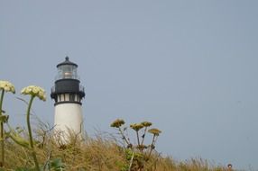 picture of the lighthouse in Oregon