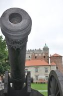 gun in front of the castle in Poland