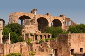 Basilica of Constantine and Maxentius in Rome