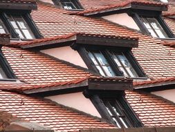 roof windows on the tiled roof