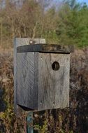 gray birdhouse in the countryside