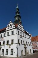 White Town Hall in Pirna