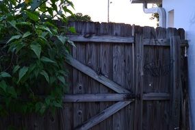 house gate