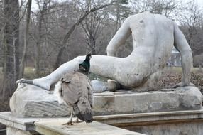 the stone statue and peacock in a park