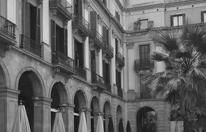 palm trees near the building with balconies