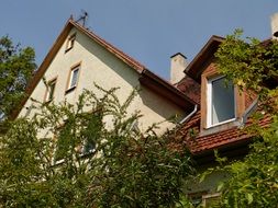 roof with windows behind green trees