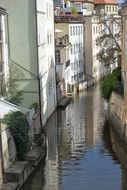 houses are reflected in the water channel in prague