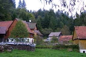swabian franconian forest