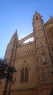 gothic cathedral of santa maria of palma