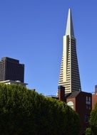 skyscraper in San Francisco, California