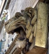 lion head on the facade of an old building