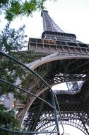 tree and the Eiffel tower stretches into the sky