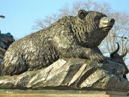 philadelphia pennsylvania bear statue