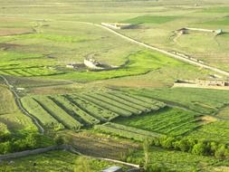 green fields outside the city