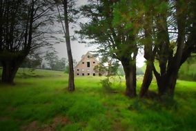 abandoned house behind the trees