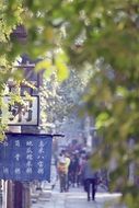 pedestrians on green street, china