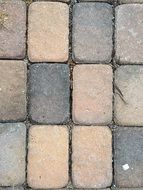 pink brick stone path