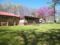 landscape of buildings and purple leaved tree on a trunk yard