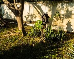 spirit house under a tree in the garden