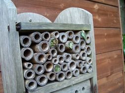 gray house for insects close up