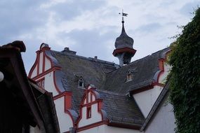 Tiled roof of an old house