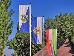 flags on flagpoles on a sunny day