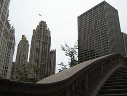 city buildings Chicago