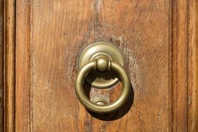 Old bronze doorknocker