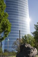 office building with a glass facade with green trees
