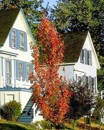 neighborhood houses on a street