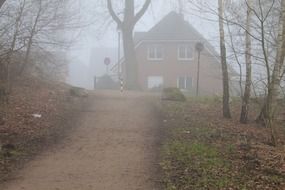 House is in the foggy forest