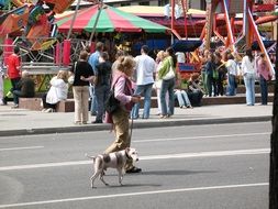 summer walk with the animal in the city