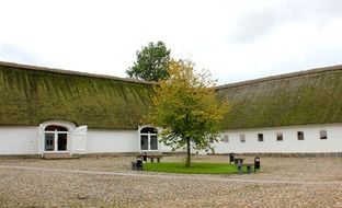 Green roofed buildings