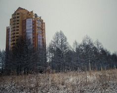 house snow cold trees grass