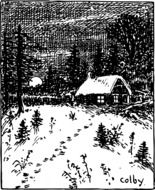 black and white landscape hut in the forest