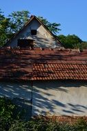 shadow on the old house