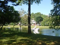 pond in the city Park