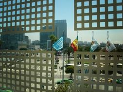 flags near the building